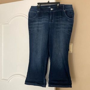 Lane Bryant vintage jeans size 18
